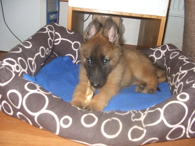 kali26.5.2009 021.jpg